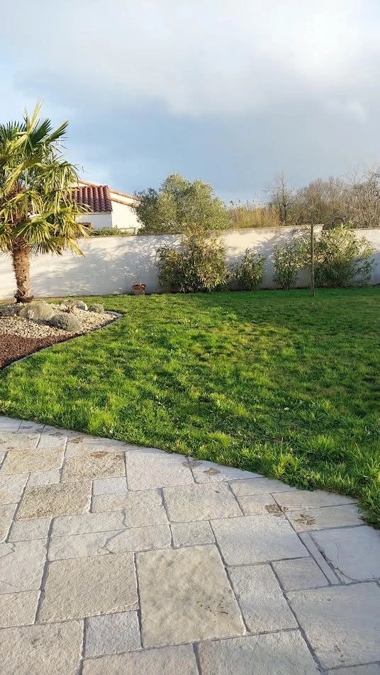 Photo d'origine : jardin engazonné avec un palmier, un mur blanc et une terrasse en pierre